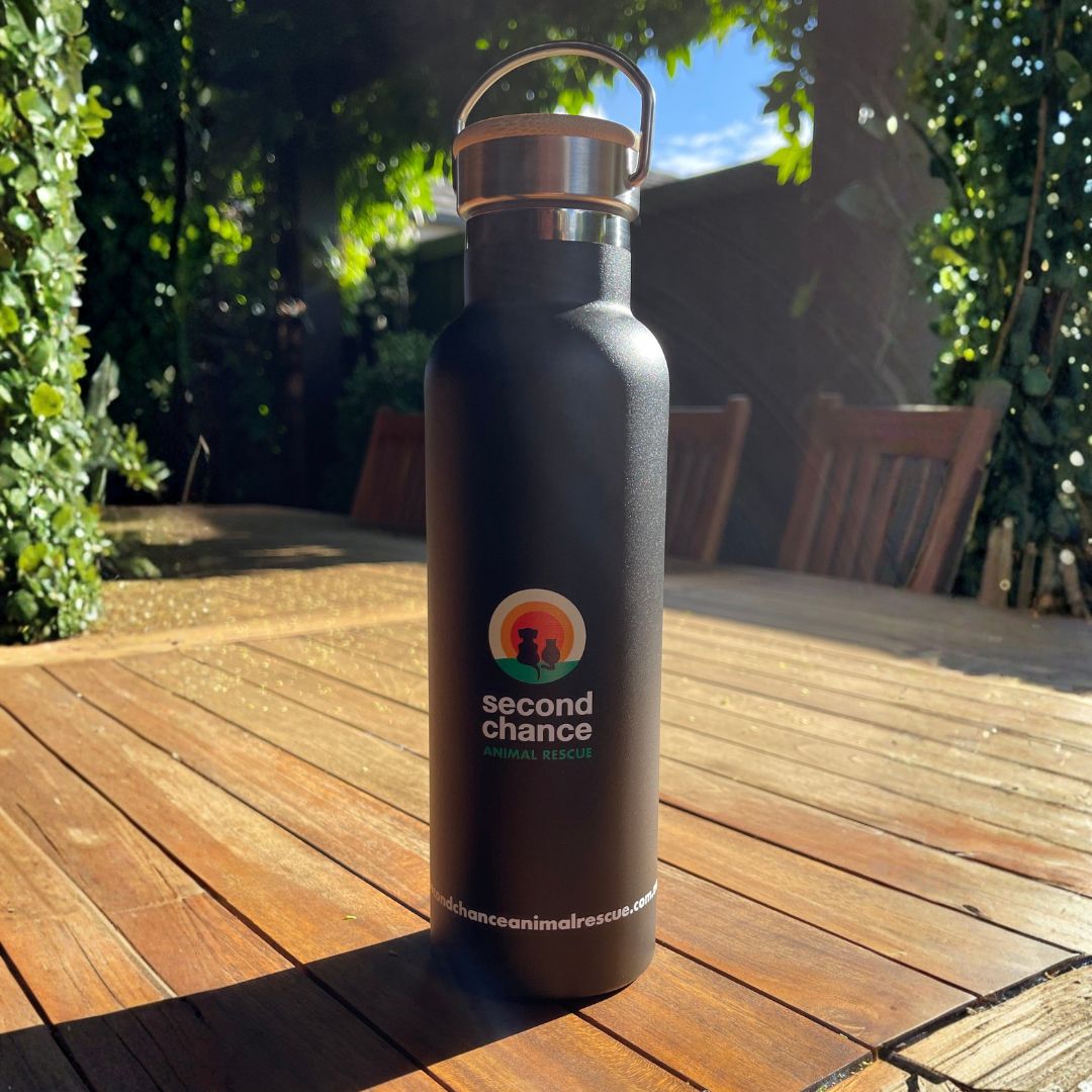 SCAR Thermo Drink Bottle