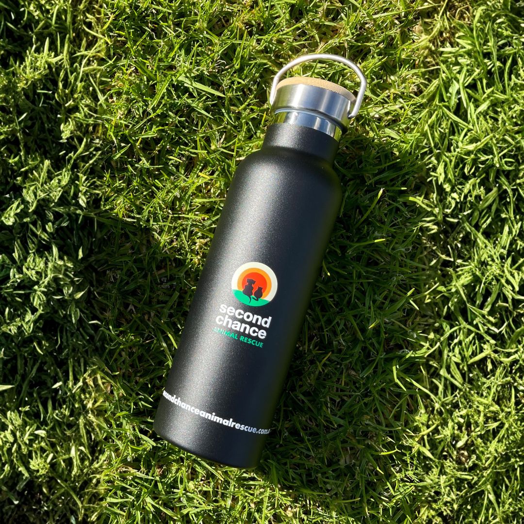 SCAR Thermo Drink Bottle