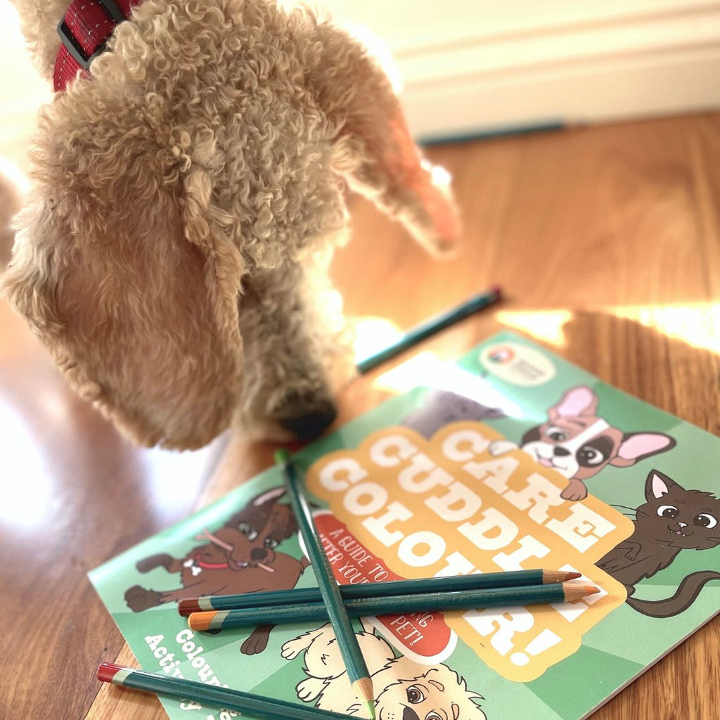 SCAR Care, Cuddle, Colour Colouring and Activity Book