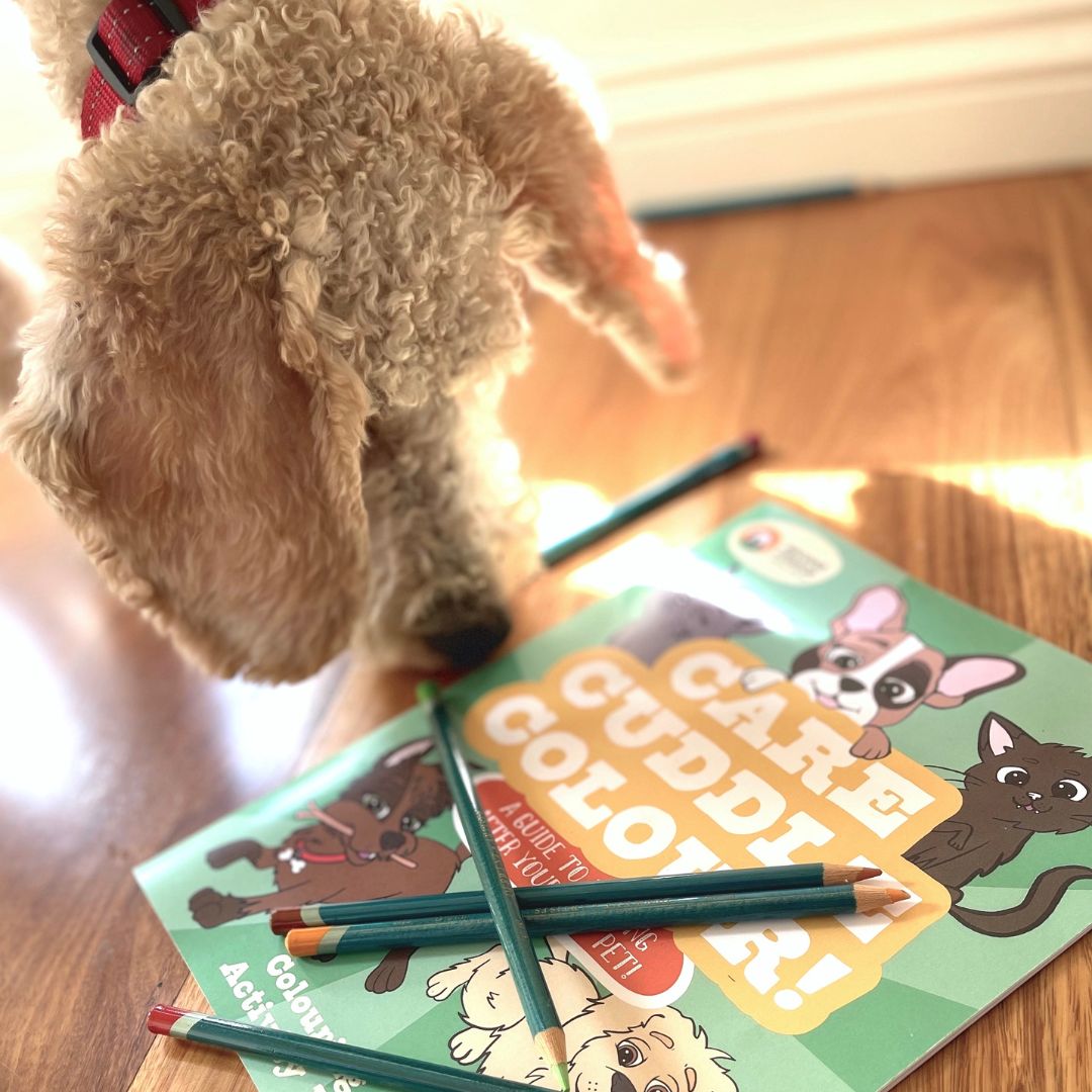 SCAR Care, Cuddle, Colour Colouring and Activity Book