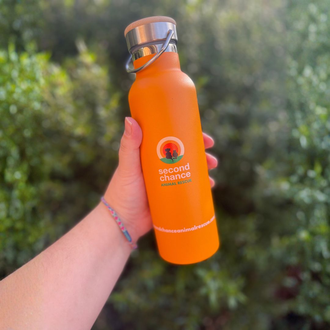 SCAR Thermo Drink Bottle