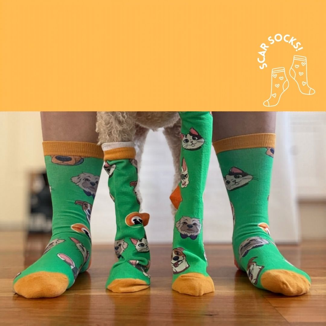 Exclusive SCAR Socks