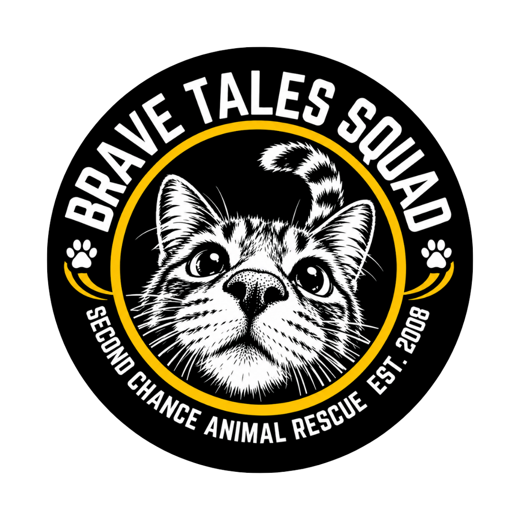 SCAR's Brave Tale Squad Cat Keychain