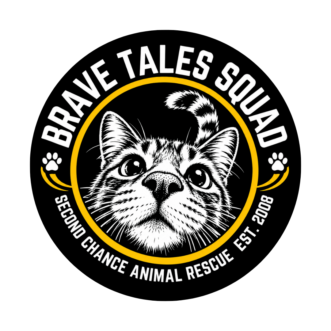 SCAR's Brave Tale Squad Cat Keychain